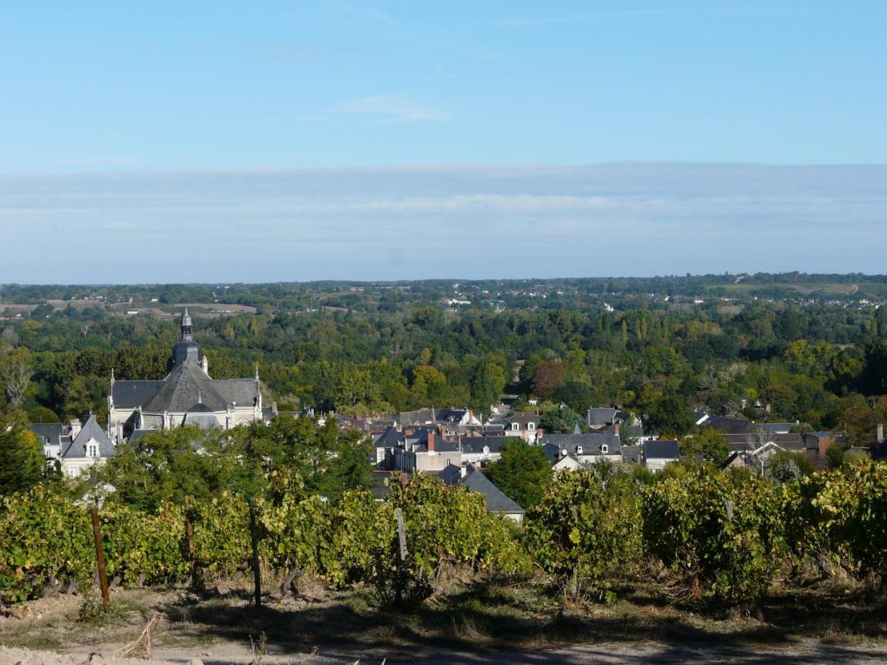 Clos Sainte Catherine Rochefort-sur-Loire 외부 사진