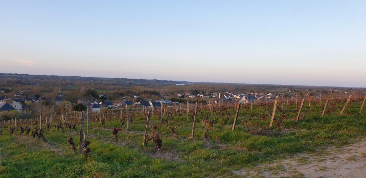 Clos Sainte Catherine Rochefort-sur-Loire 외부 사진